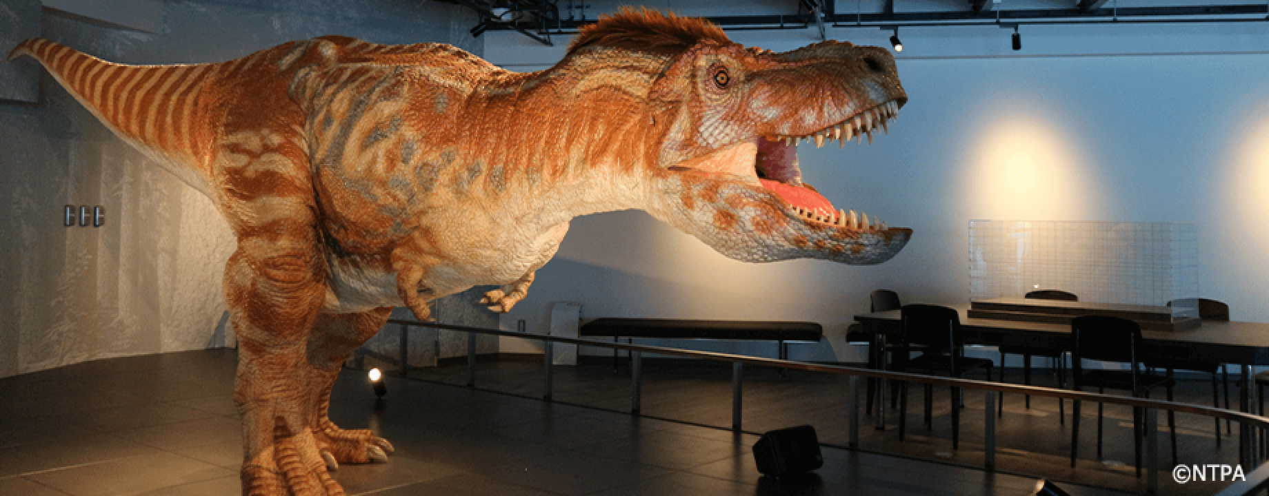 Dinasour Museum
