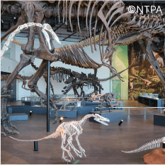Nagasaki City Dinosaur Museum