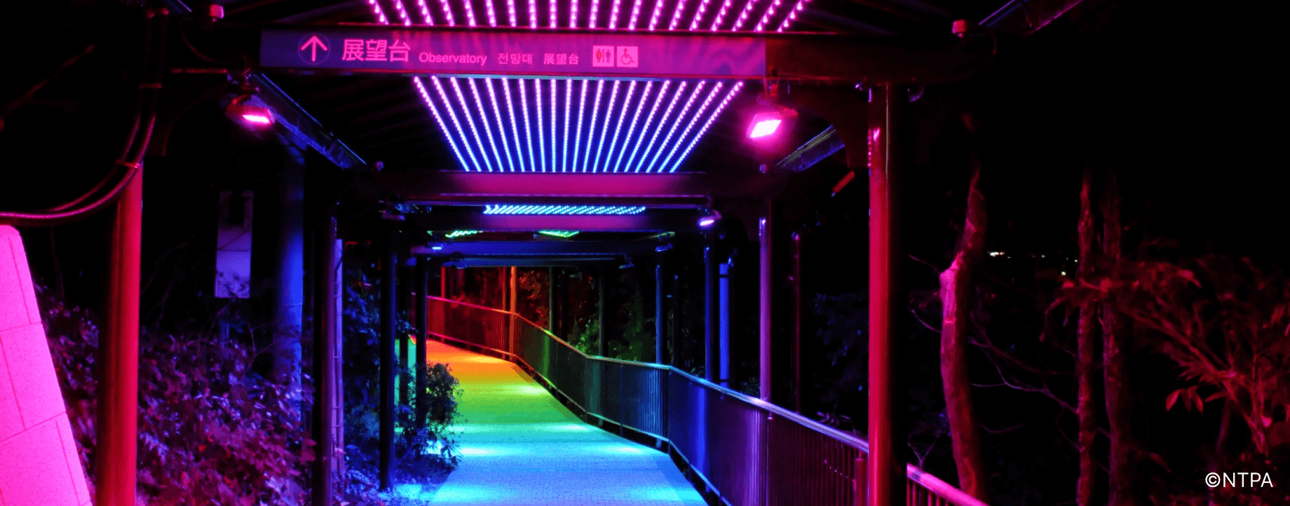 light up road
